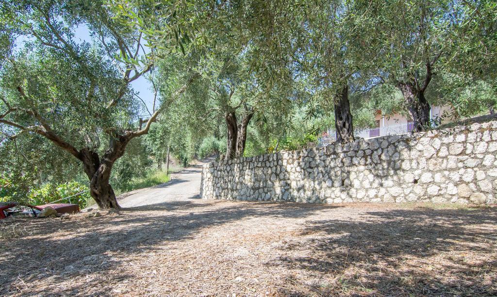 Ferienwohnung Spiti Kritikos Benitses  Exterior foto